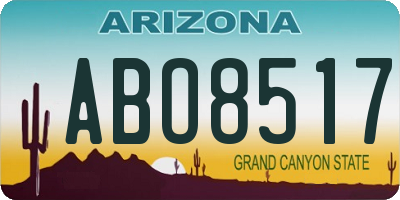 AZ license plate ABO8517