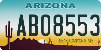 AZ license plate ABO8553