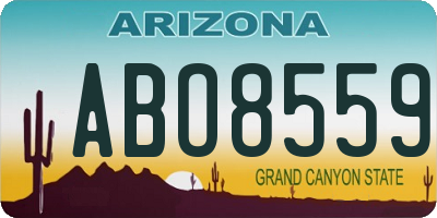 AZ license plate ABO8559