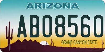 AZ license plate ABO8560