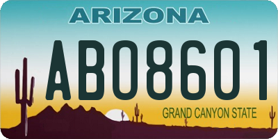 AZ license plate ABO8601