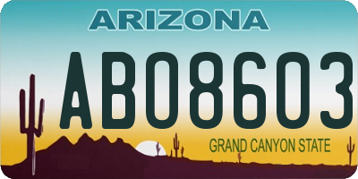 AZ license plate ABO8603