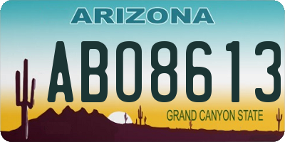 AZ license plate ABO8613