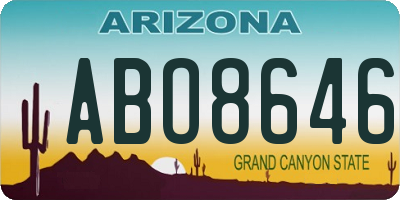 AZ license plate ABO8646