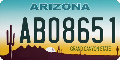 AZ license plate ABO8651