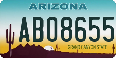 AZ license plate ABO8655