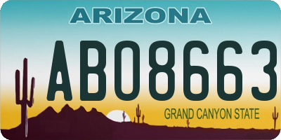 AZ license plate ABO8663