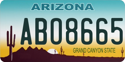 AZ license plate ABO8665