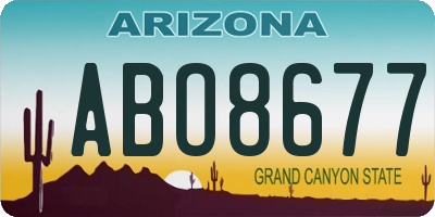 AZ license plate ABO8677