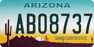 AZ license plate ABO8737