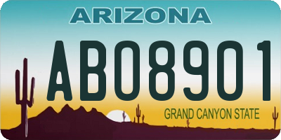 AZ license plate ABO8901