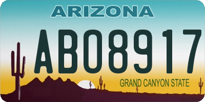 AZ license plate ABO8917