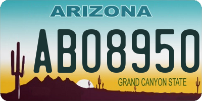 AZ license plate ABO8950