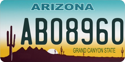 AZ license plate ABO8960