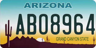 AZ license plate ABO8964