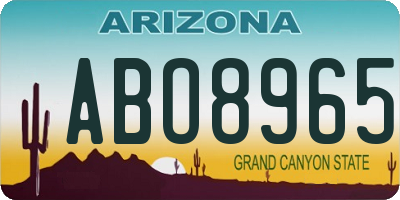 AZ license plate ABO8965