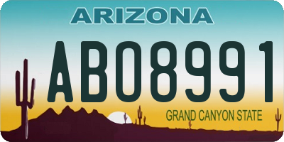 AZ license plate ABO8991