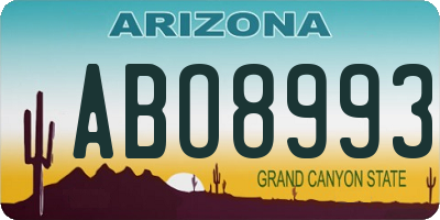 AZ license plate ABO8993