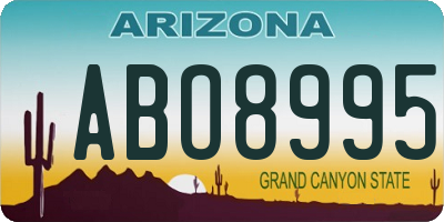 AZ license plate ABO8995