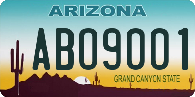 AZ license plate ABO9001