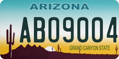 AZ license plate ABO9004