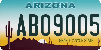 AZ license plate ABO9005