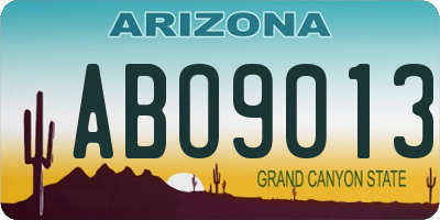 AZ license plate ABO9013