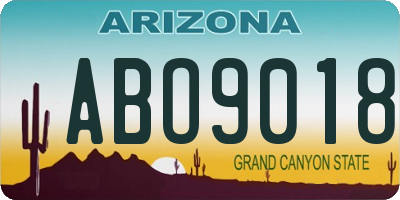 AZ license plate ABO9018