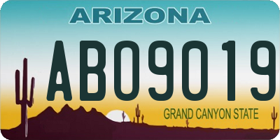 AZ license plate ABO9019