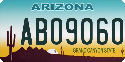 AZ license plate ABO9060