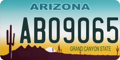 AZ license plate ABO9065