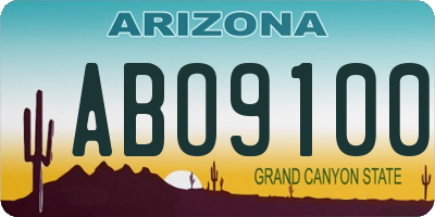 AZ license plate ABO9100