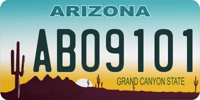 AZ license plate ABO9101