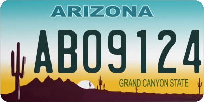 AZ license plate ABO9124
