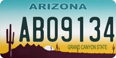 AZ license plate ABO9134