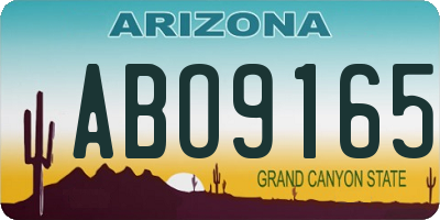 AZ license plate ABO9165