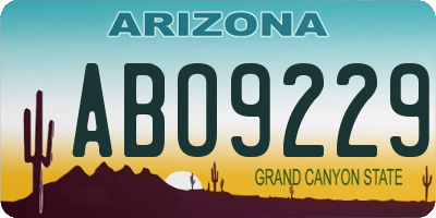 AZ license plate ABO9229