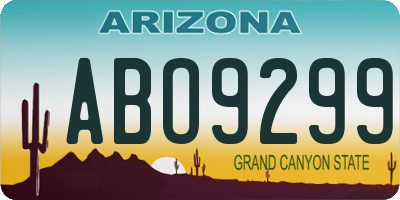 AZ license plate ABO9299