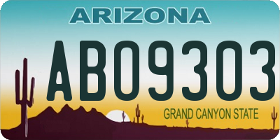 AZ license plate ABO9303
