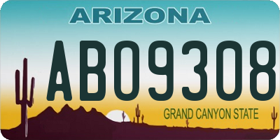 AZ license plate ABO9308