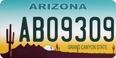 AZ license plate ABO9309