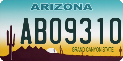 AZ license plate ABO9310