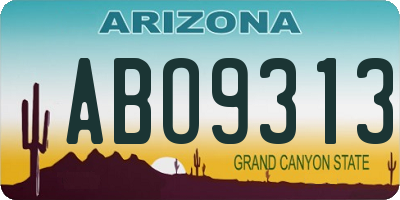 AZ license plate ABO9313