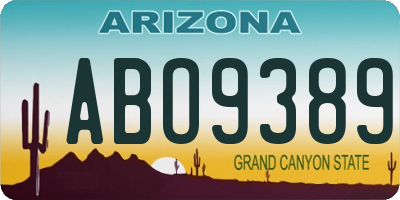 AZ license plate ABO9389