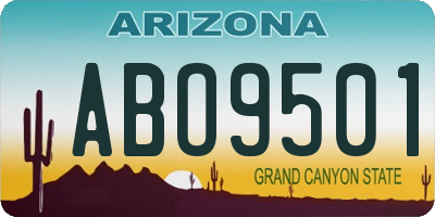 AZ license plate ABO9501