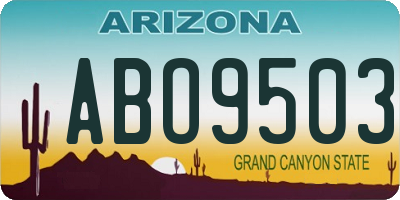 AZ license plate ABO9503