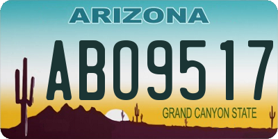 AZ license plate ABO9517