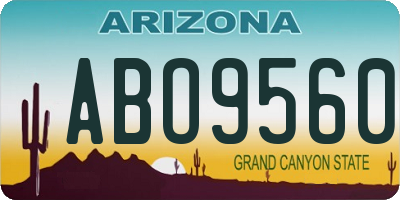AZ license plate ABO9560