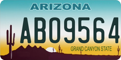 AZ license plate ABO9564