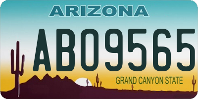 AZ license plate ABO9565